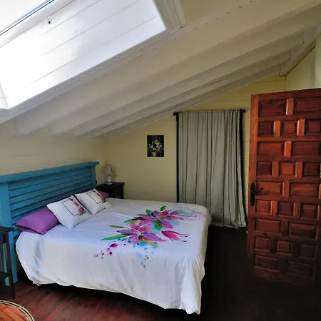 Charming House In With Fenced Garden Holiday home