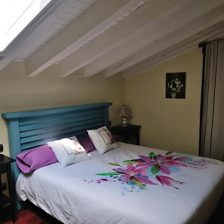 Charming House In With Fenced Garden Holiday home *